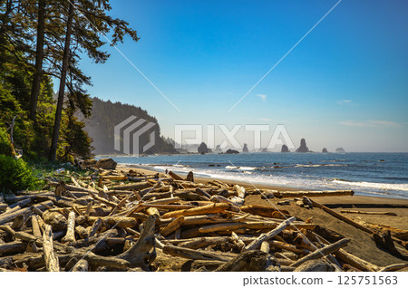Driftwood and Sea Stacks at La Push Third Beach, Washington State 125751563