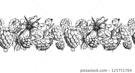 Raspberry ripe garden berries, flowers in water dew drops hand drawn in vector ink. Seamless isolated banner garland. Home preserves, textile washi tape, food store decor, recipe book, dessert menu 125751764