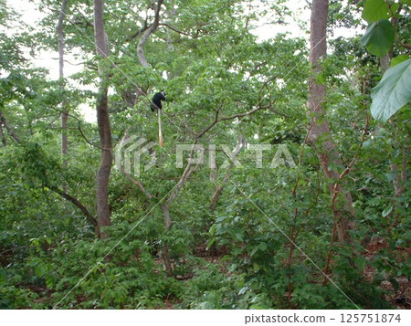 國家公園@加納☆mar_lapin 125751874