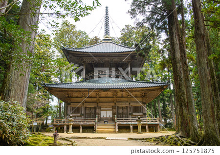 World Heritage Site Mount Koya, Danjo Garan, West Pagoda, Wakayama Prefecture 125751875
