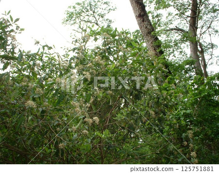 國家公園@加納☆mar_lapin 125751881