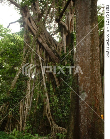 國家公園@加納☆mar_lapin 125751882