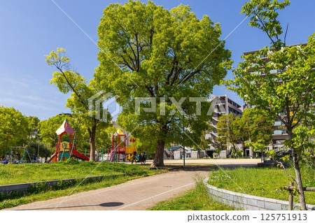 Wakamatsu Park and fresh greenery in Shin-Nagata, Nagata Ward, Kobe City 125751913