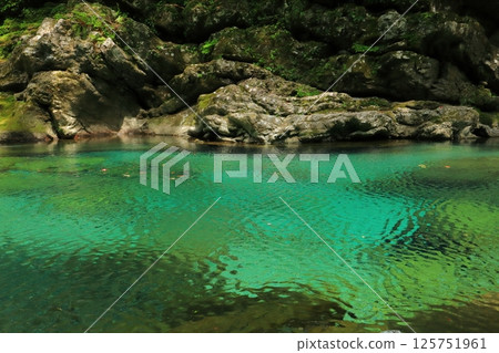 高知縣仁淀川町安井溪水晶池，水面搖曳 125751961