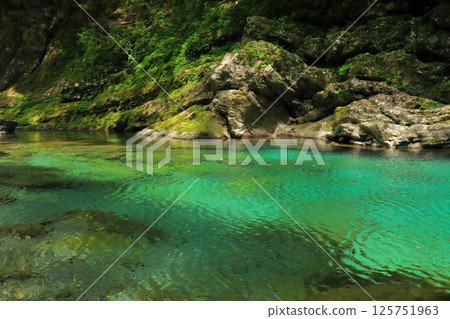 高知縣仁淀川町安井溪水晶池，水面搖曳 125751963