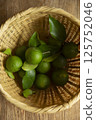 Sudachi harvest 125752046