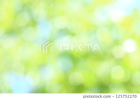 野櫻桃樹的嫩葉失焦 [圓形散景] [模糊] 125752270