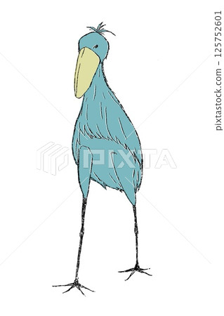一隻行走的大鳥－鯨頭鸛。鯨頭鸛 125752601
