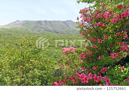 May: Mount Mihara and azaleas on Oshima Island 125752661