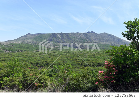 Izu Oshima Miharayama in May 125752662