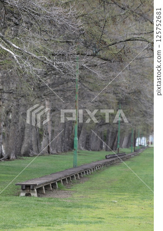 400m bench in Green Park 125752681
