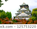 Osaka Castle 2025 125753220