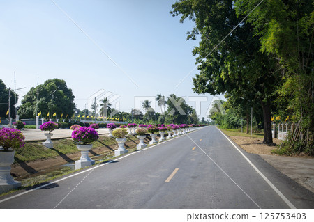 Long country road ahead is beautifully decorated with flower and pots. Long country road ahead is beautifully decorated with flower and pots. 125753403
