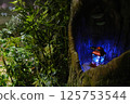 Sumitomo Hall Lamps and Forest Exploration 125753544