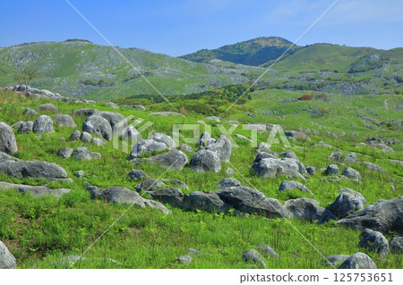 【福岡縣】從三笠台、平尾台喀斯特眺望新綠 125753651