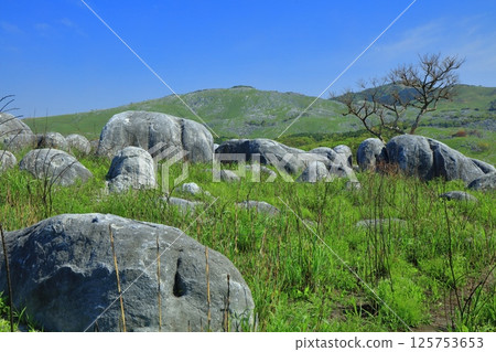【福岡縣】從三笠台、平尾台喀斯特眺望新綠 【福岡縣】從三笠台、平尾台喀斯特眺望新綠 125753653