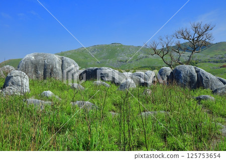 【福岡縣】從三笠台、平尾台喀斯特眺望新綠 125753654