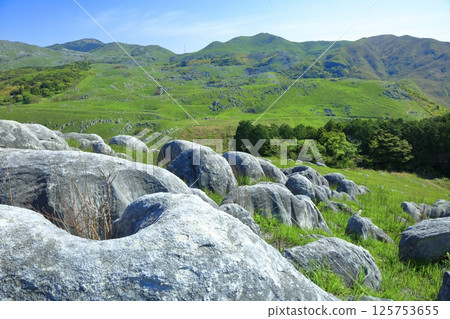 [Fukuoka Prefecture] Fresh greenery seen from Mikasadai, Hiraodai Karst 125753655