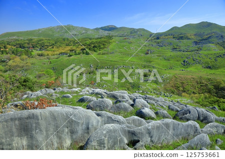 [Fukuoka Prefecture] Fresh greenery seen from Mikasadai, Hiraodai Karst 125753661