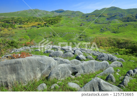 [Fukuoka Prefecture] Fresh greenery seen from Mikasadai, Hiraodai Karst 125753665