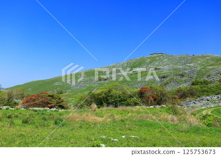 [Fukuoka Prefecture] Fresh greenery seen from Chagadoko Garden in Hiraodai Karst 125753673