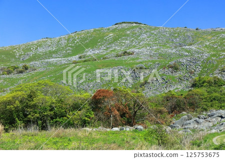 [Fukuoka Prefecture] Fresh greenery seen from Chagadoko Garden in Hiraodai Karst 125753675