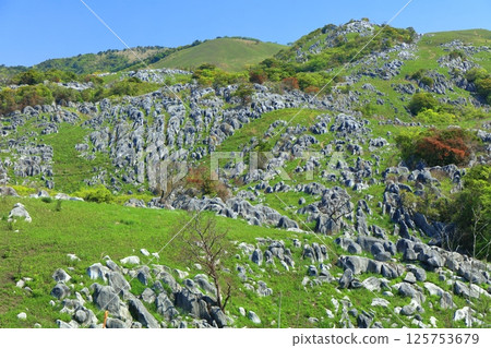 [Fukuoka Prefecture] Fresh greenery seen from Chagadoko Garden in Hiraodai Karst 125753679
