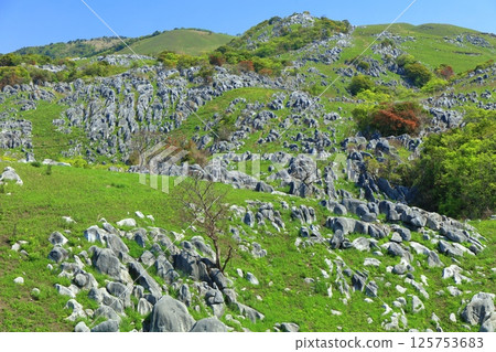 【福岡縣】從平尾台喀斯特的茶床庭園望去,滿眼新綠 【福岡縣】從平尾台喀斯特的茶床庭園望去,滿眼新綠 125753683
