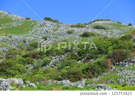 【福岡縣】從平尾台喀斯特的茶床庭園望去，滿眼新綠 125753823