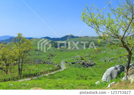 [Fukuoka Prefecture] Fresh greenery seen from Chagadoko Garden in Hiraodai Karst 125753827