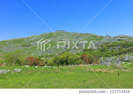 [Fukuoka Prefecture] Fresh greenery seen from Chagadoko Garden in Hiraodai Karst 125753828
