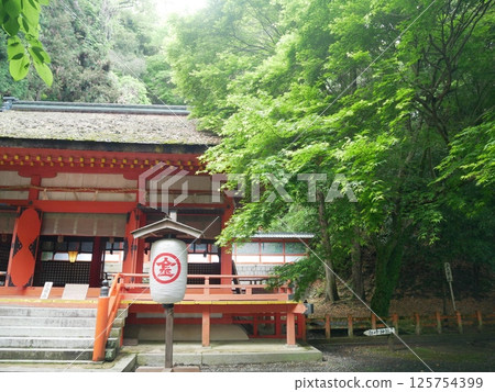 Shiramine Shrine of Konpira Shrine (Kagawa: Kotohira) 125754399