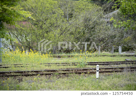 Scenery of Yoro Valley Station on the Kominato Railway Scenery of Yoro Valley Station on the Kominato Railway 125754450