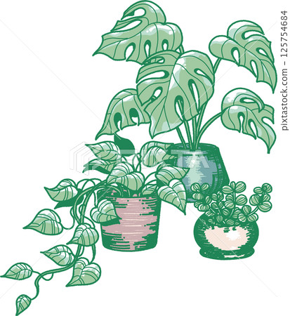 Illustration of three types of houseplants Illustration of three types of houseplants 125754684