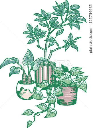 三種室內植物的插圖 125754685