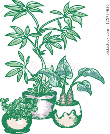 三種室內植物的插圖 125754686