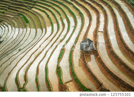 Aerial view drone flight over terraced rice fields, Mu Cang Chai, Yen Bai, Vietnam Aerial view drone flight over terraced rice fields, Mu Cang Chai, Yen Bai, Vietnam 125755101