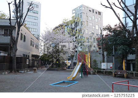 櫻花季的惠比壽公園（東京澀谷） 125755225