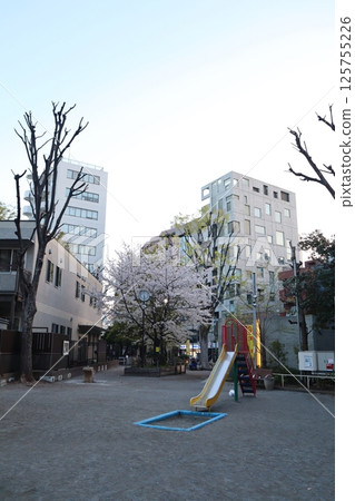 Ebisu Park during cherry blossom season (Shibuya, Tokyo) 125755226