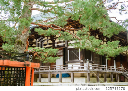 和歌山縣壇上伽藍高野山、三光松、近藤 125755278