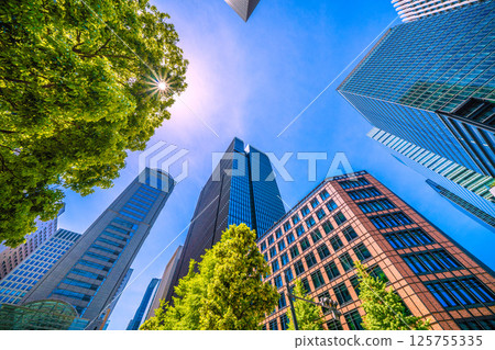 Tokyo cityscape in May, Japan. View of the Otemachi business district including Haro and Otemachi Tower. 125755335