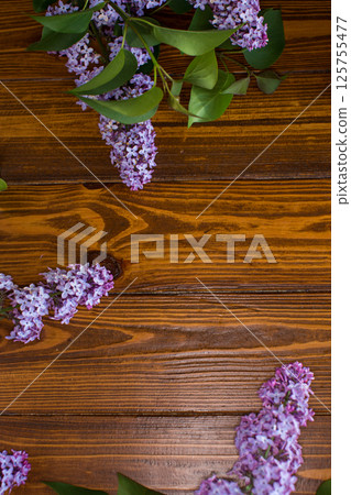 Purple lilac flowers on chalkboard with empty field for inscriptions Purple lilac flowers on chalkboard with empty field for inscriptions 125755477