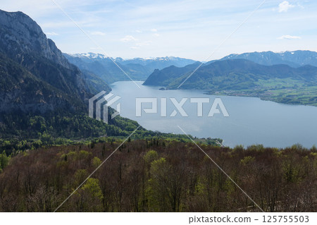 Panoramic View of Traunsee Lake and Austrian Alps 125755503