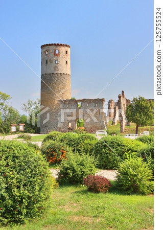 Stony ruins of castle Zviretice in Czech republic Stony ruins of castle Zviretice in Czech republic 125755524