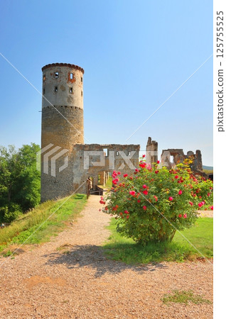 Stony ruins of castle Zviretice in Czech republic Stony ruins of castle Zviretice in Czech republic 125755525