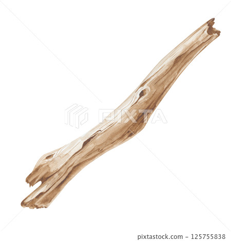 A hand-drawn driftwood on a white background. Watercolor illustration of a brown sea piece of wood. Nature. Isolated. An element for marine design. 125755838