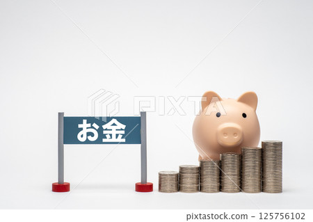 Money sign with stacked coins and piggy bank 125756102