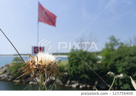 Sunny beach with river and border of Bulgaria and Turkey Sunny beach with river and border of Bulgaria and Turkey 125756409