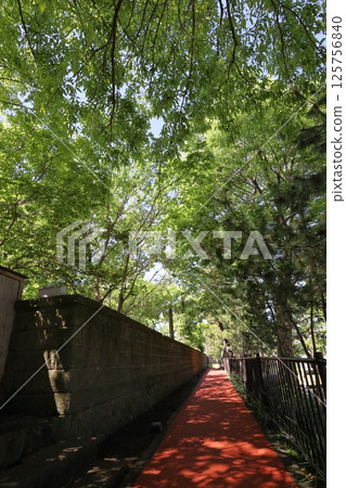 Oiso Memorial House Oiso Memorial House 125756840
