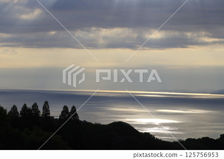 日本的愛琴海：從橄欖樹林看瀨戶內海 125756953